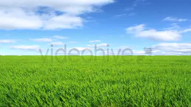Green Field  Videohive 2224465 Stock Footage Image 2