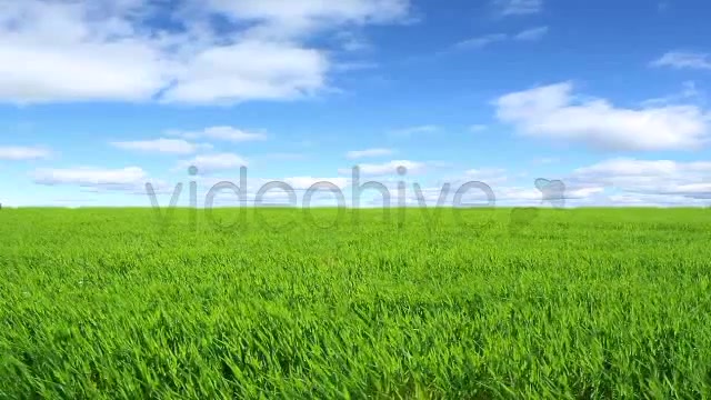 Green Field  Videohive 2224465 Stock Footage Image 4
