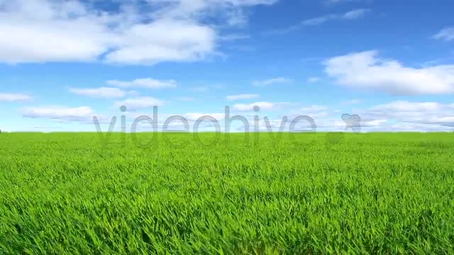 Green Field  Videohive 2224465 Stock Footage Image 5