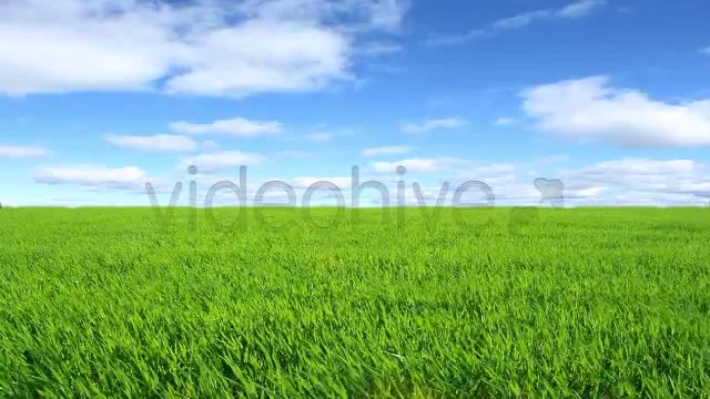 Green Field  Videohive 2224465 Stock Footage Image 6