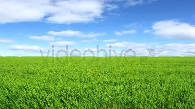 Green Field  Videohive 2224465 Stock Footage Image 8