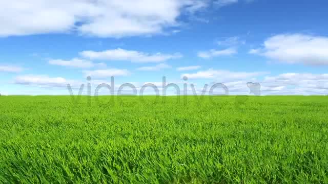 Green Field  Videohive 2224465 Stock Footage Image 9