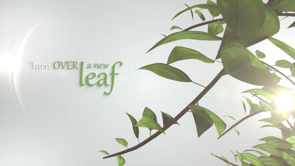 Green Logo Reveal Videohive 19843818 After Effects Image 4