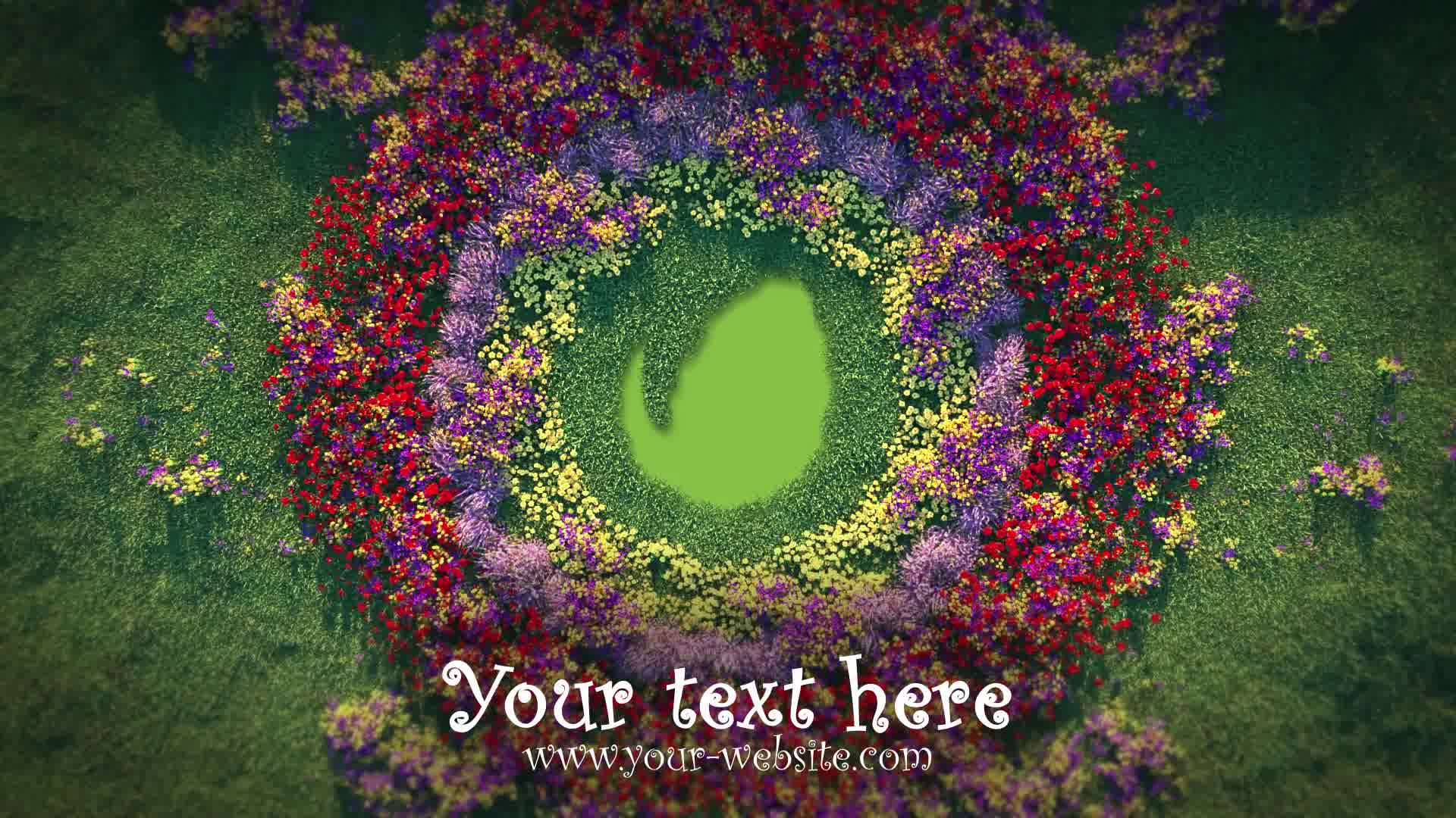 Growing Flowers Pattern Logo Opener Videohive 23281334 After Effects Image 10