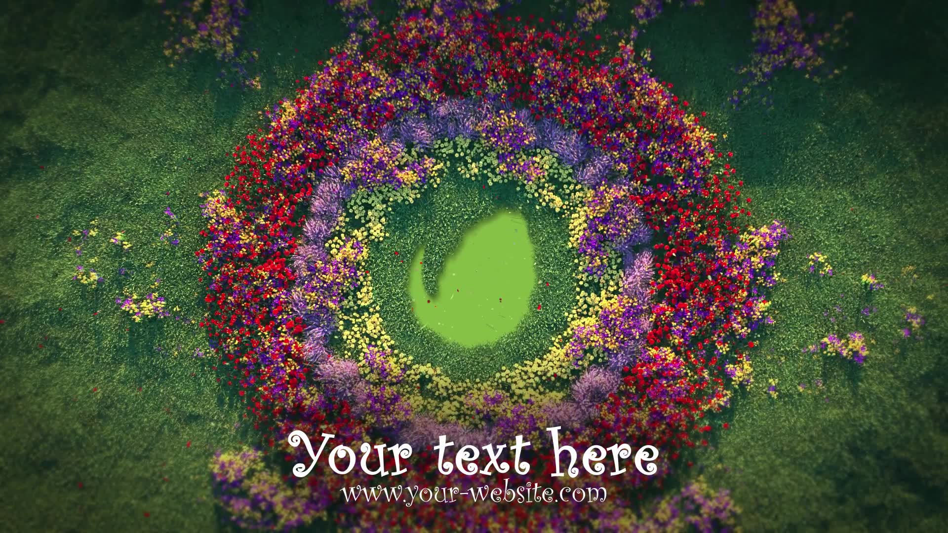 Growing Flowers Pattern Logo Opener Videohive 23281334 After Effects Image 6