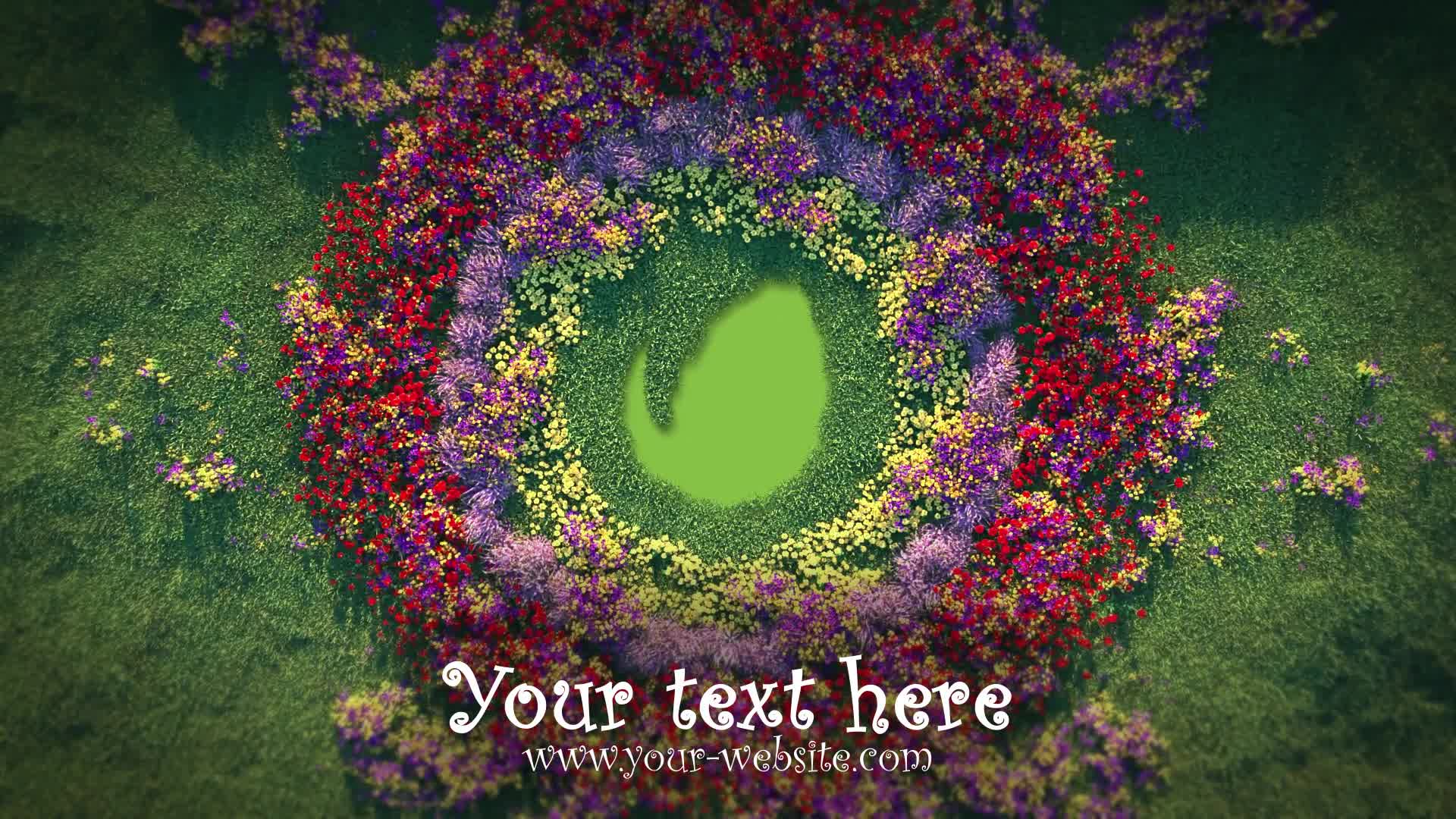 Growing Flowers Pattern Logo Opener Videohive 23281334 After Effects Image 8