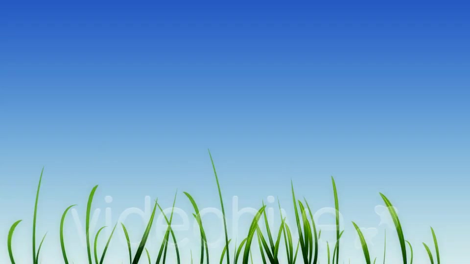 Growing Grass and Flowers Videohive 93075 Motion Graphics Image 2