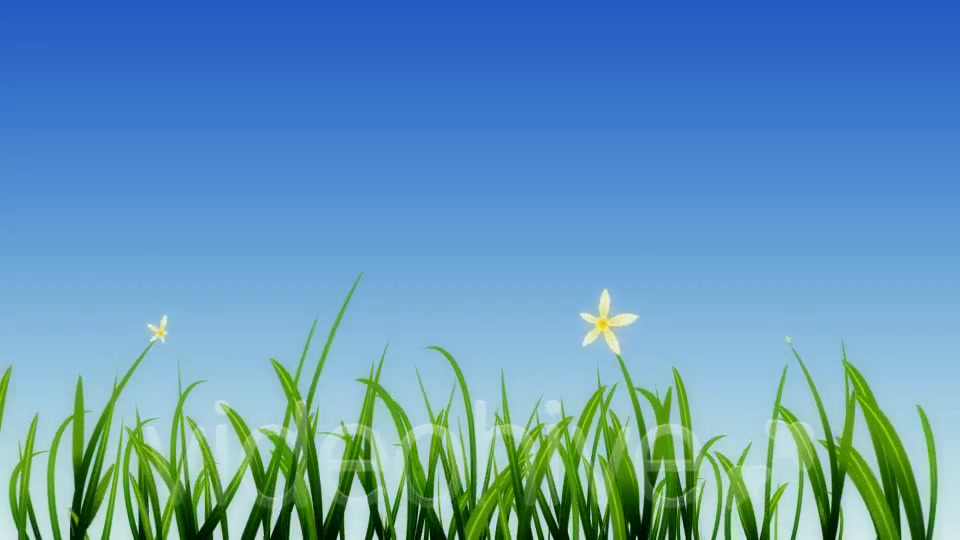 Growing Grass and Flowers Videohive 93075 Motion Graphics Image 3