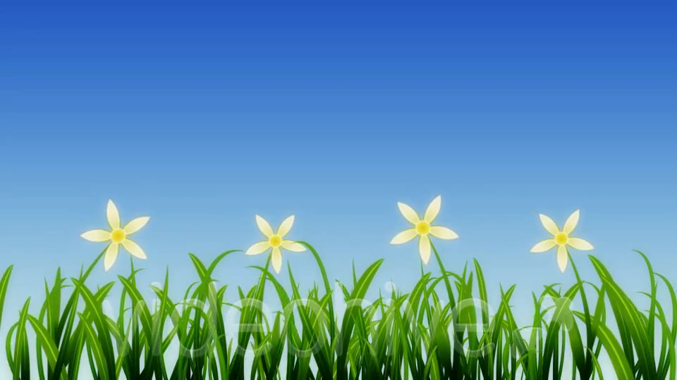 Growing Grass and Flowers Videohive 93075 Motion Graphics Image 5