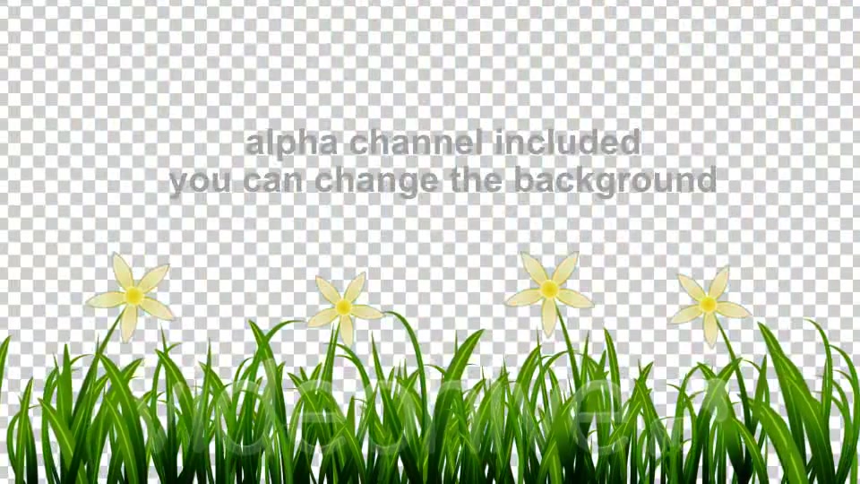Growing Grass and Flowers Videohive 93075 Motion Graphics Image 7