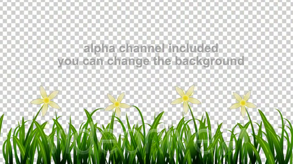 Growing Grass and Flowers Videohive 93075 Motion Graphics Image 8