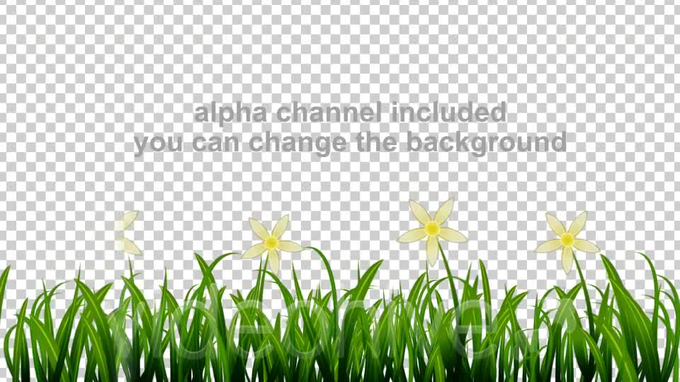 Growing Grass and Flowers Videohive 93075 Motion Graphics Image 9