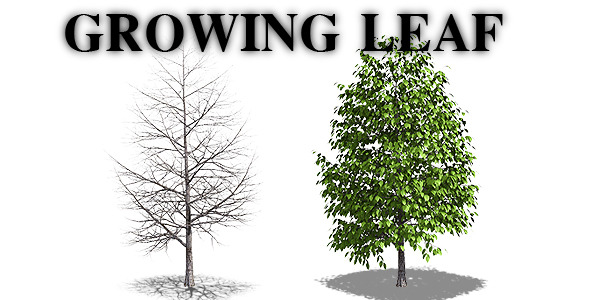 Growing Leaf - Download Videohive 3815004