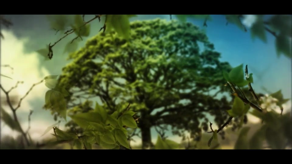 Growing Leaves (Logo real) Videohive 12260370 After Effects Image 6