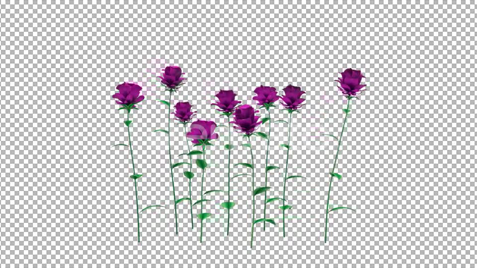 Growing Purple Flowers - Download Videohive 21638321