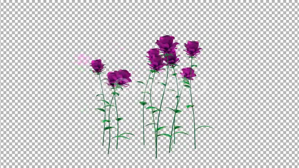 Growing Purple Flowers - Download Videohive 21638321