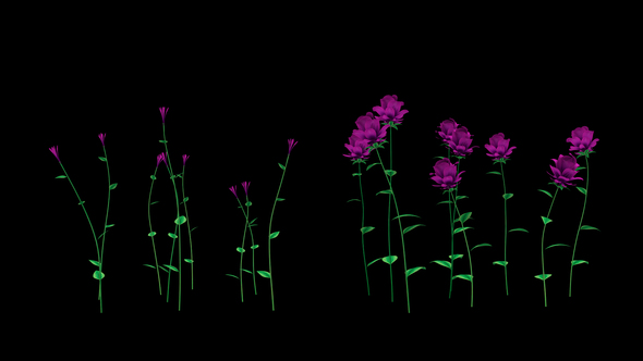 Growing Purple Flowers - Download Videohive 21638321