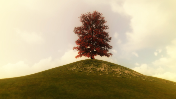 Growing Red Tree - Download Videohive 20777058