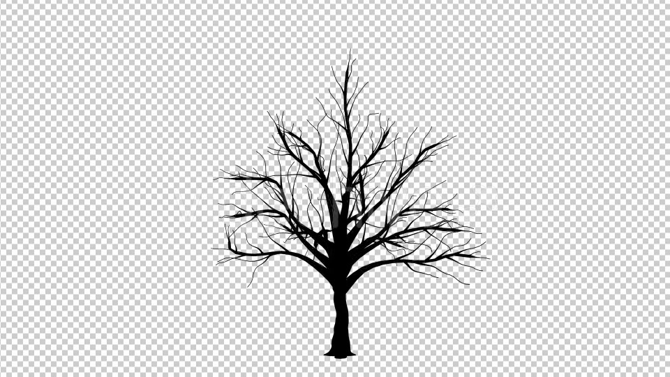 Growing Tree Silhouette - Download Videohive 19518963