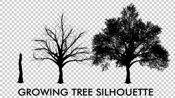 Growing Tree Silhouette - Download Videohive 19518963