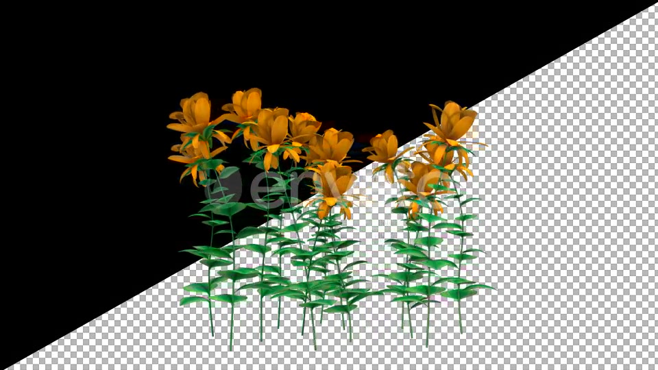 Growing Yellow Flowers - Download Videohive 21638439