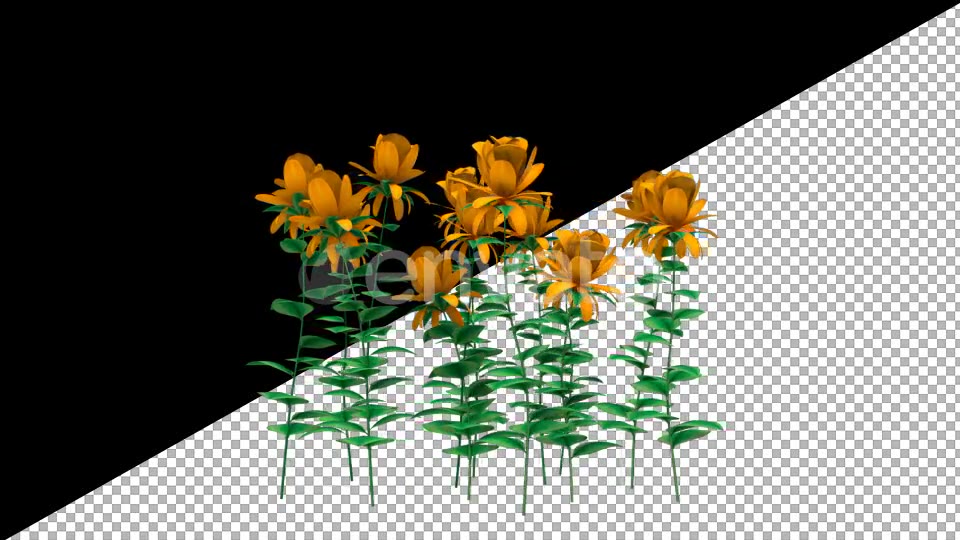 Growing Yellow Flowers - Download Videohive 21638439