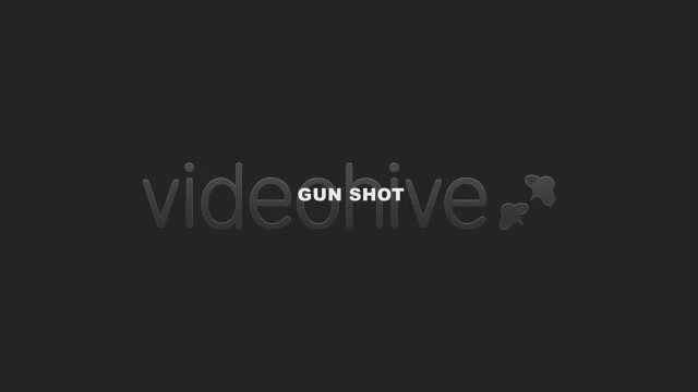 Gun Shot - Download Videohive 3516931