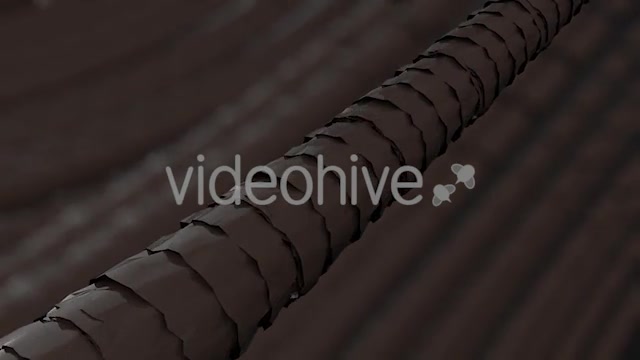 Hair Strength And Color - Download Videohive 21191519