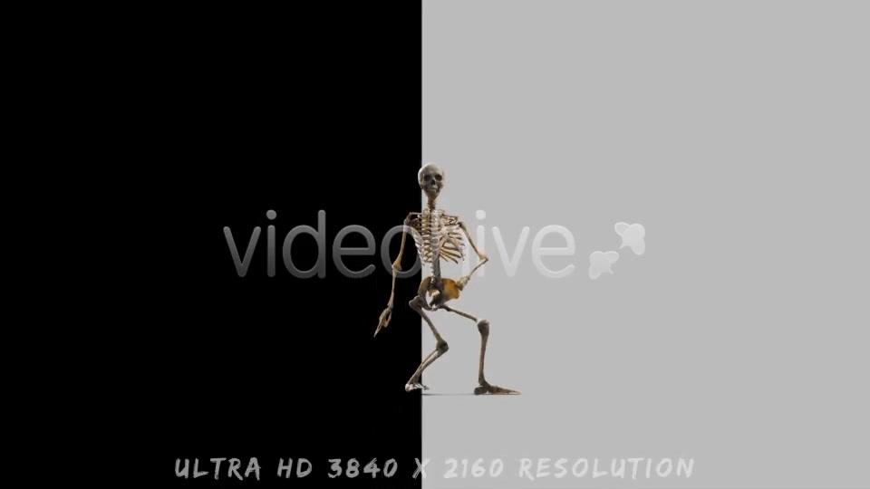 Halloween Party - Download Videohive 13127196