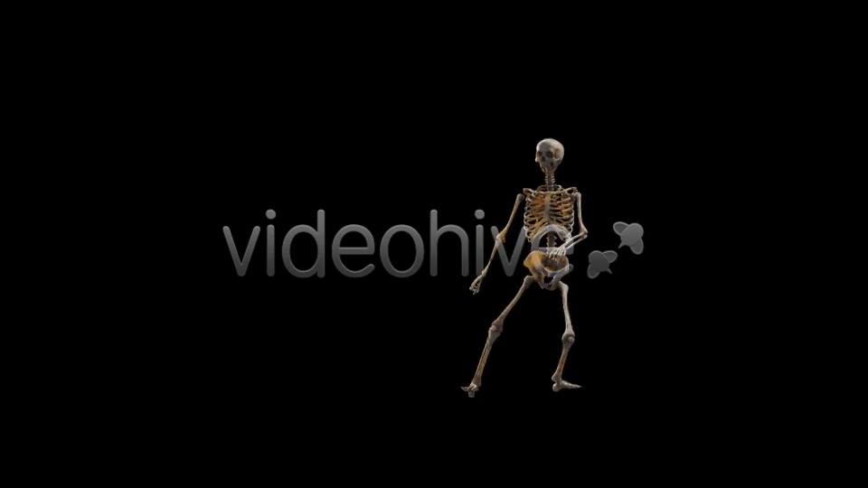 Halloween Party - Download Videohive 13127196