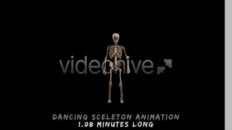 Halloween Party - Download Videohive 13127196