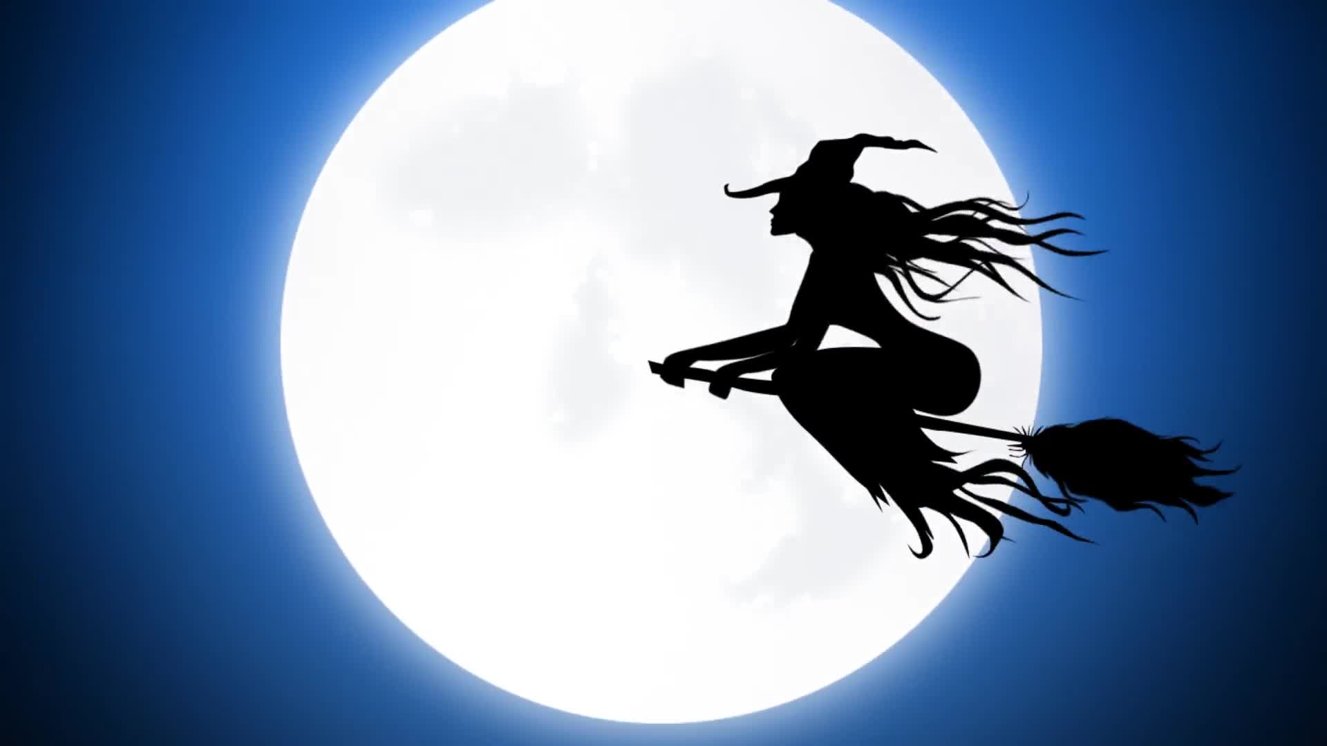 Halloween Party Videohive 24847689 After Effects Image 1