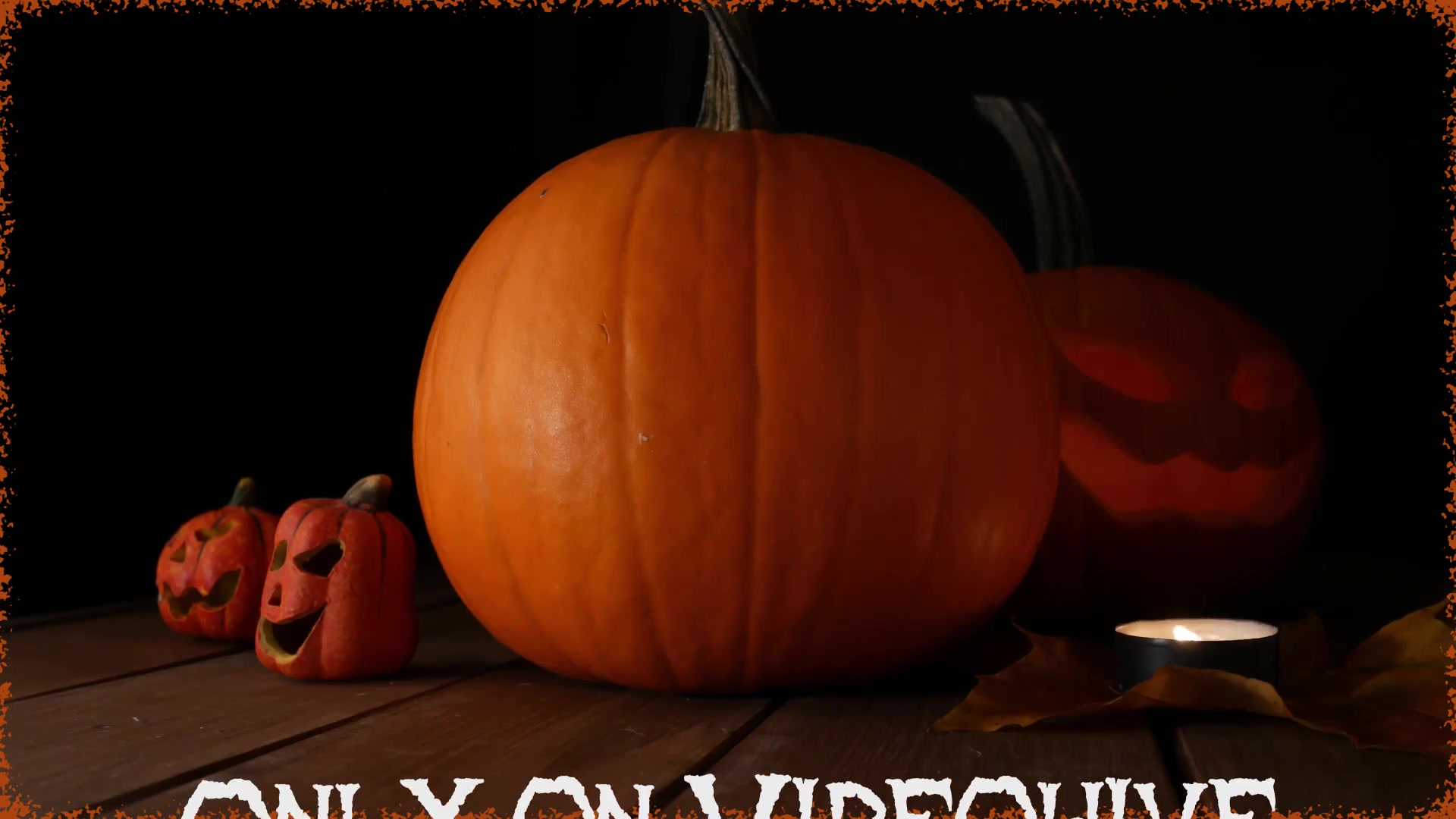 Halloween Photo Video Gallery Videohive 24844097 After Effects Image 12