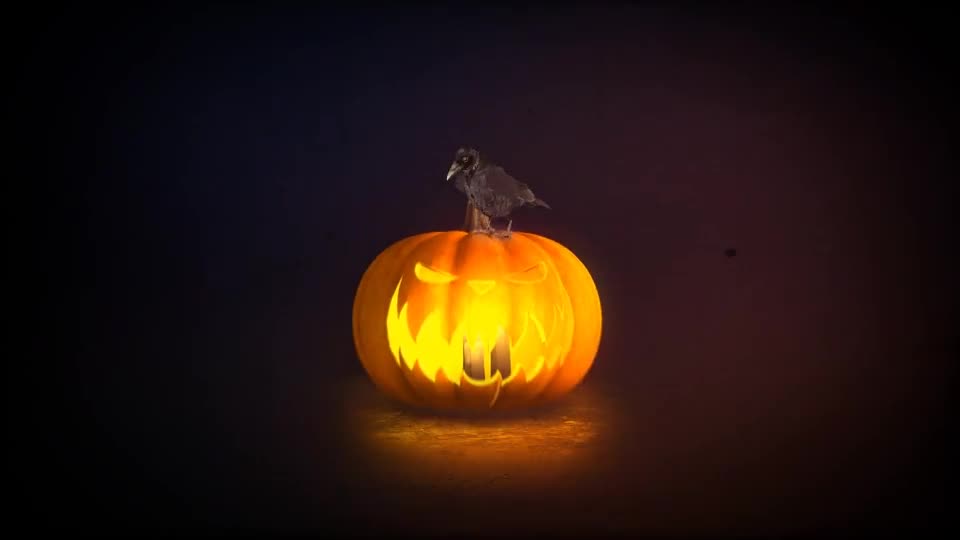 Halloween Pumpkin Logo Videohive 22737164 After Effects Image 1