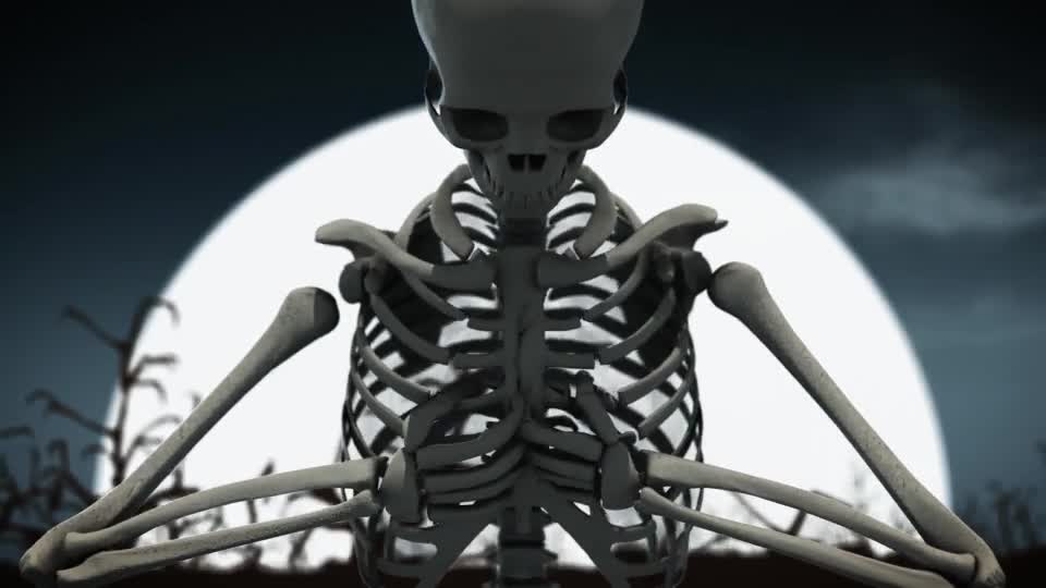 Halloween Skeleton Videohive 18074745 After Effects Image 1