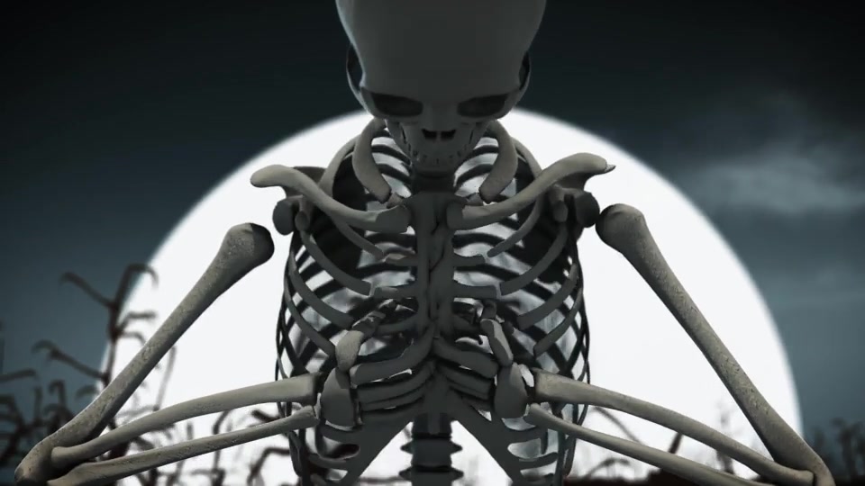 Halloween Skeleton Videohive 18074745 After Effects Image 6