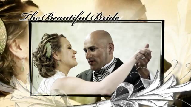 Hand Drawn Wedding Opener - Download Videohive 681908