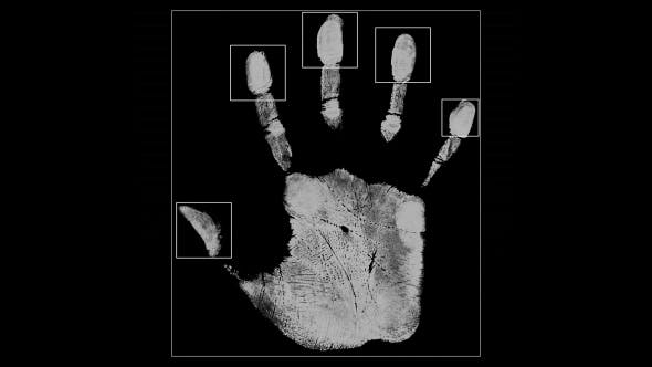 Hand Fingerprint Scan Identification Interface - Download 21332279 Videohive