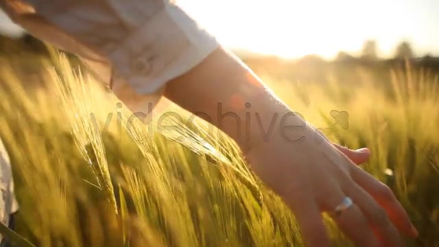 Hand with Wedding Ring on Ceral Field  Videohive 7687804 Stock Footage Image 10