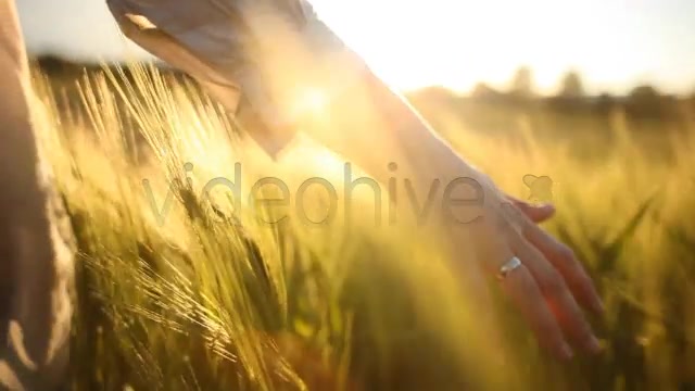Hand with Wedding Ring on Ceral Field  Videohive 7687804 Stock Footage Image 11