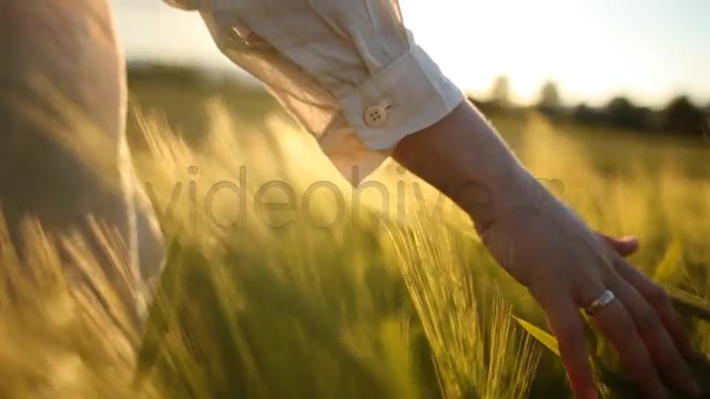 Hand with Wedding Ring on Ceral Field  Videohive 7687804 Stock Footage Image 12