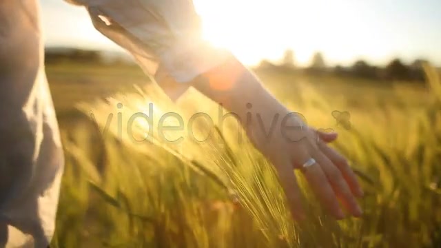 Hand with Wedding Ring on Ceral Field  Videohive 7687804 Stock Footage Image 13