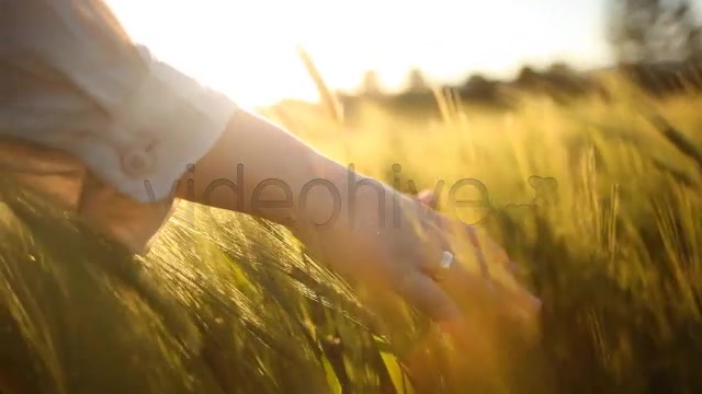 Hand with Wedding Ring on Ceral Field  Videohive 7687804 Stock Footage Image 2
