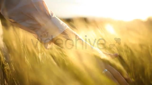 Hand with Wedding Ring on Ceral Field  Videohive 7687804 Stock Footage Image 7