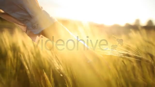 Hand with Wedding Ring on Ceral Field  Videohive 7687804 Stock Footage Image 9