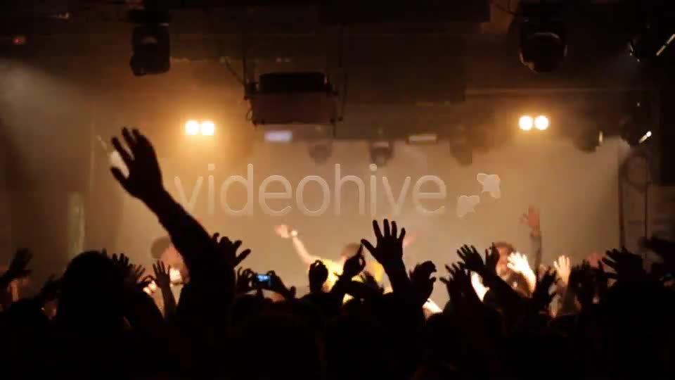 Hands Of Party Crowd  Videohive 6695797 Stock Footage Image 2