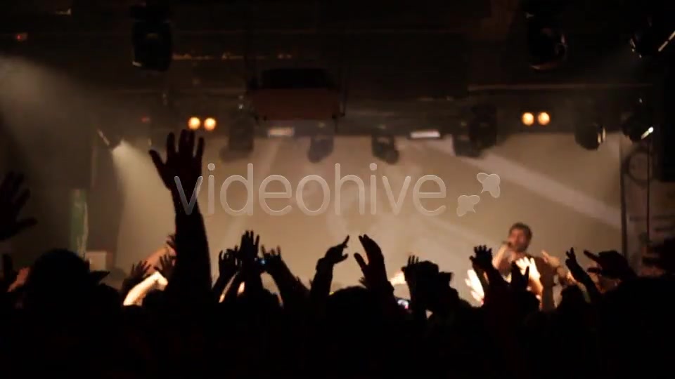Hands Of Party Crowd  Videohive 6695797 Stock Footage Image 5