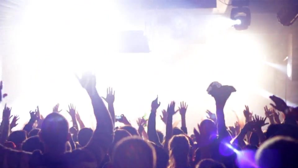 Hands Of Party Crowd  Videohive 6695797 Stock Footage Image 7