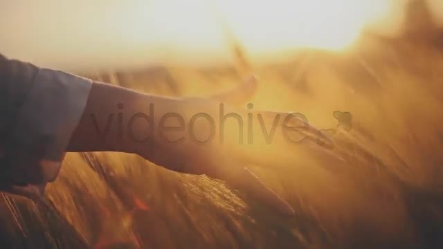 Hands on Ceral Field 8  Videohive 7730494 Stock Footage Image 1