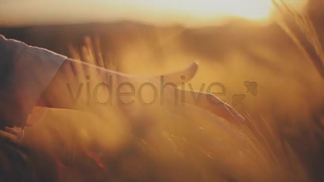 Hands on Ceral Field 8  Videohive 7730494 Stock Footage Image 2